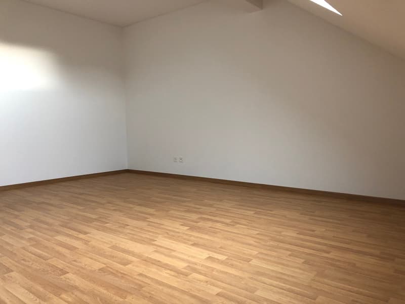 Appartement mansardé charmant à louer ! (8)