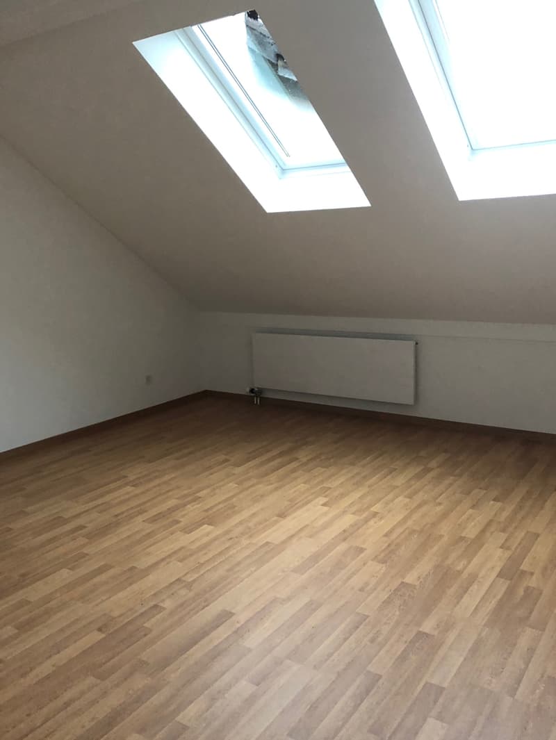 Appartement mansardé charmant à louer ! (7)