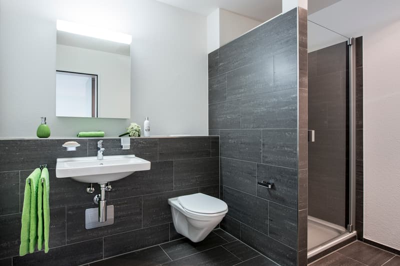 Moderne Sitzplatzwohnung sucht neuen Mieter (5)