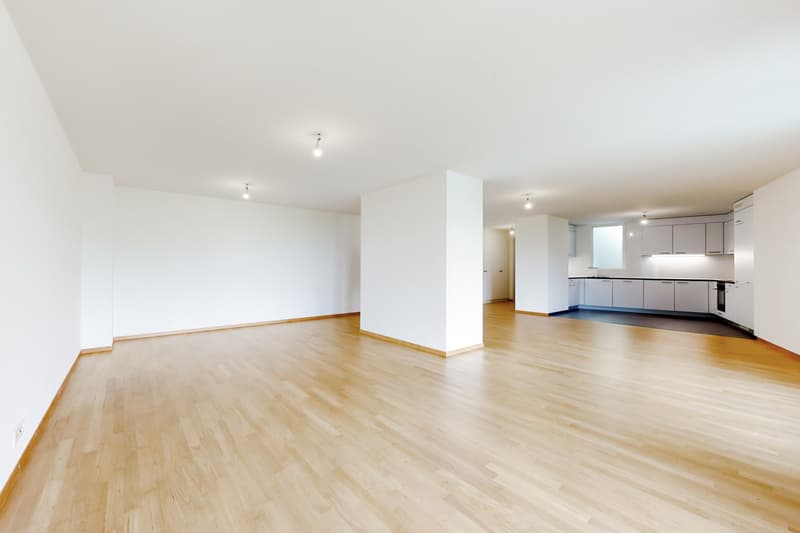 Ein modernes Wohnheim in einer grünen Umgebung (3)