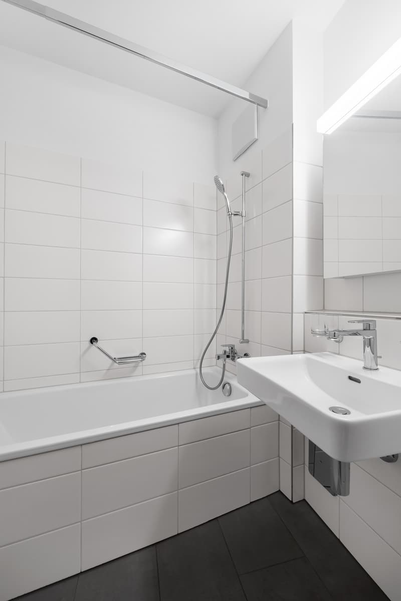 Appartement avec charme cherche locataire avec charme ! (8)