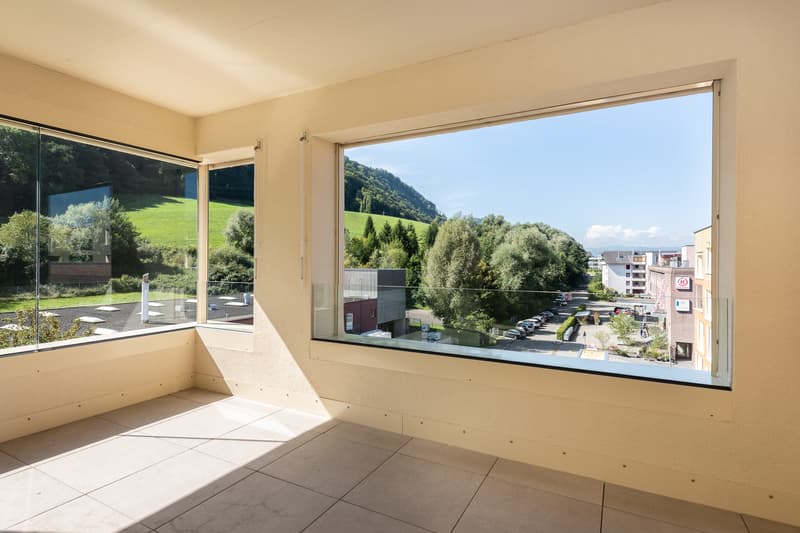 Stilvolles Zuhause im Quartier Grossmatte (11)