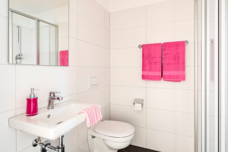 Moderne Wohnung sucht neuen Mieter! (7)