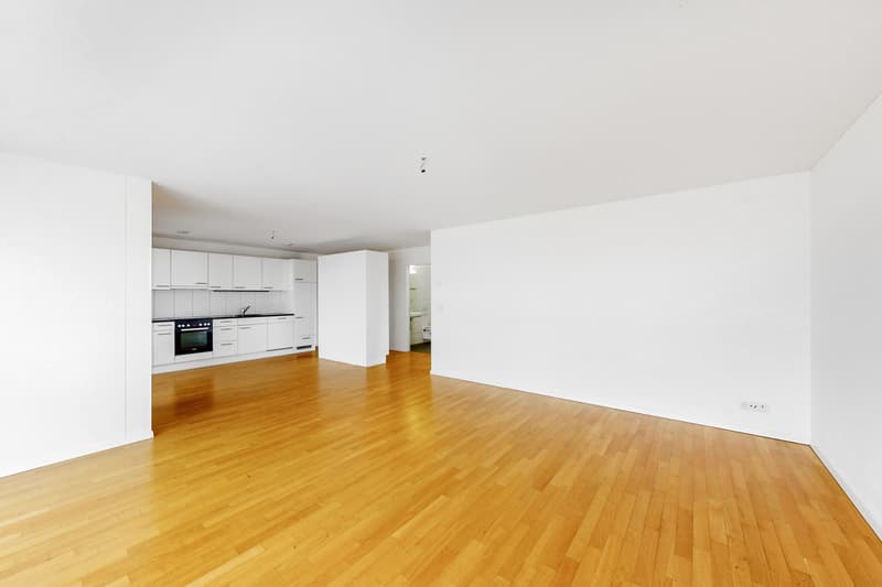 Moderne Wohnung sucht neuen Mieter! (4)