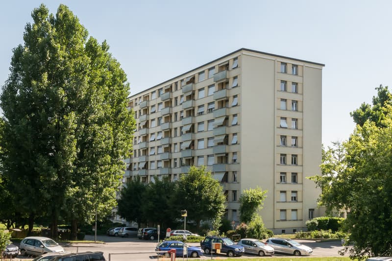 In einer grünen Gegend (9)