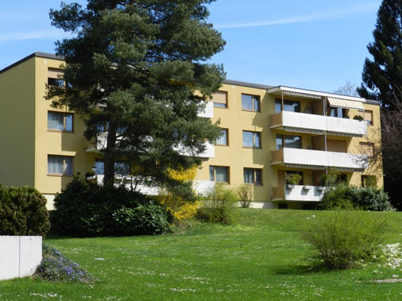 Gemütliches Wohnen im beliebten und steuergünstigen Kilchberg! (1)