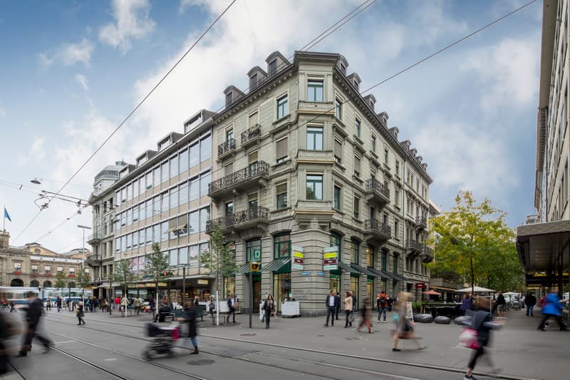 Ein Wohntraum im Herzen von Zürich! (1)