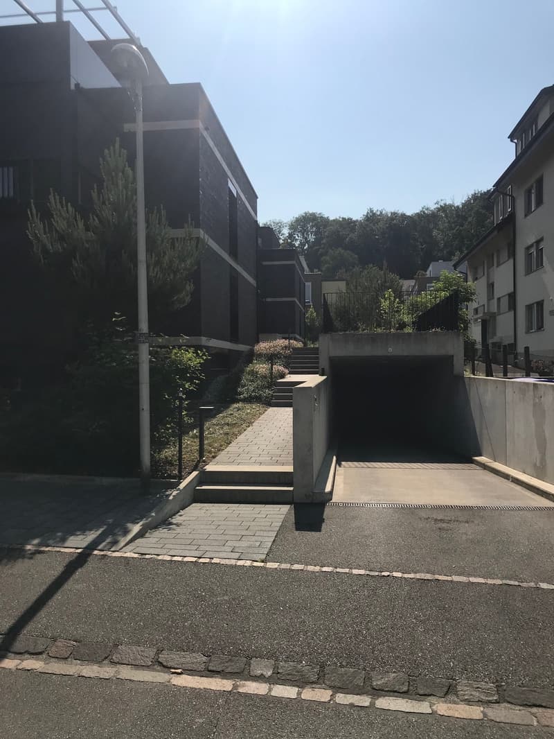 Parking spaces for rent at Magrethenstrasse 10 (2)