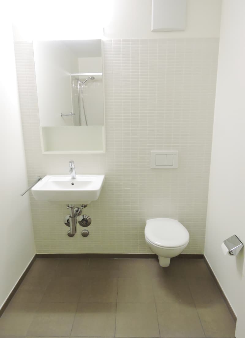 Ideale Single Wohnung in der Allschwiler-Höhe (6)