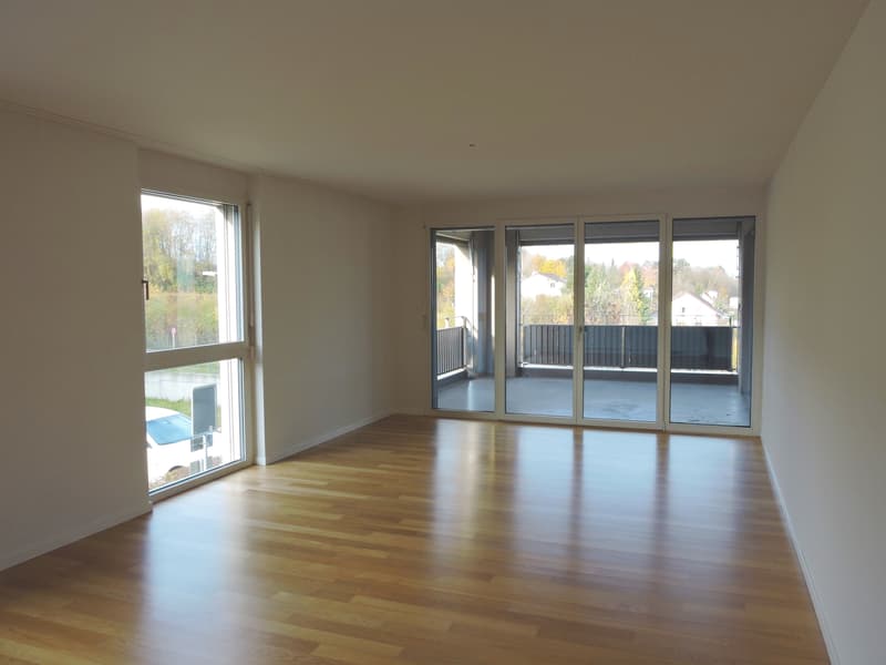 Ideale Single Wohnung in der Allschwiler-Höhe (3)