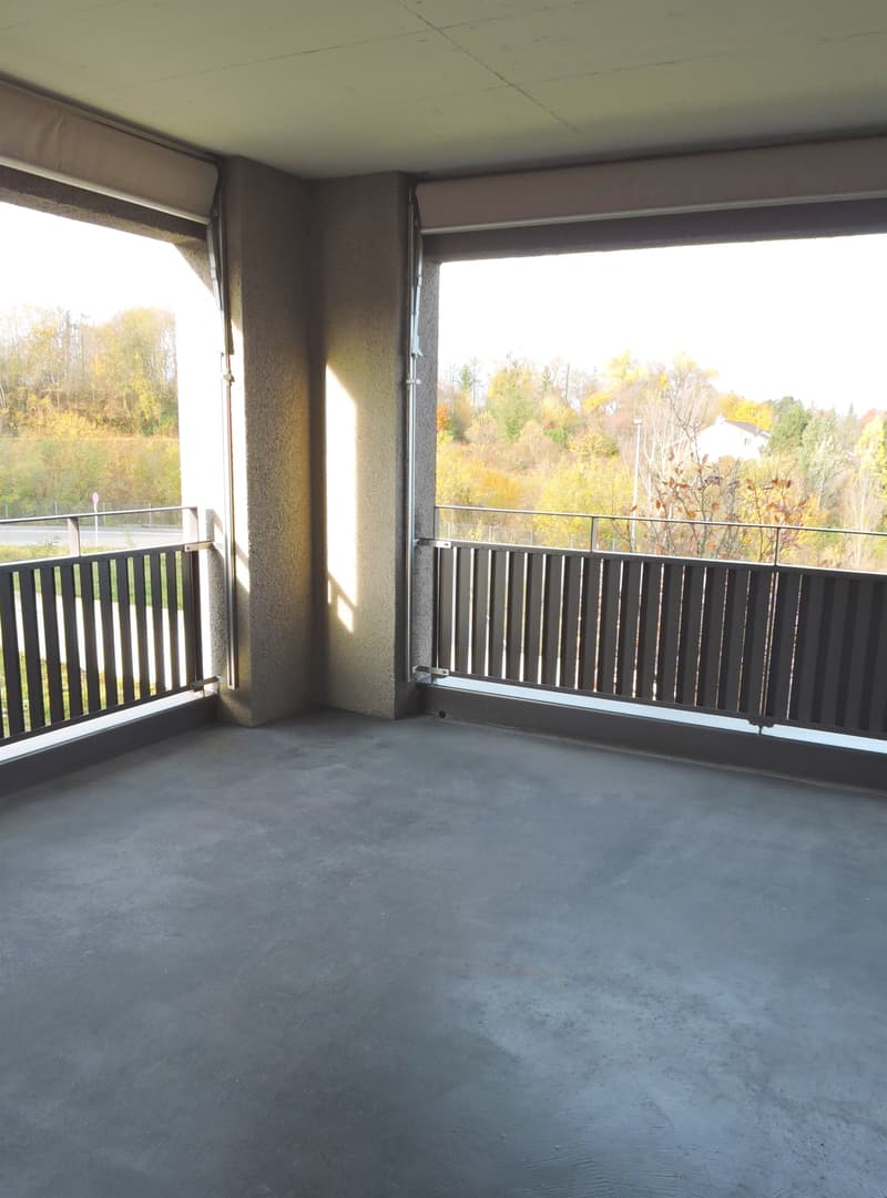 Ideale Single Wohnung in der Allschwiler-Höhe (5)