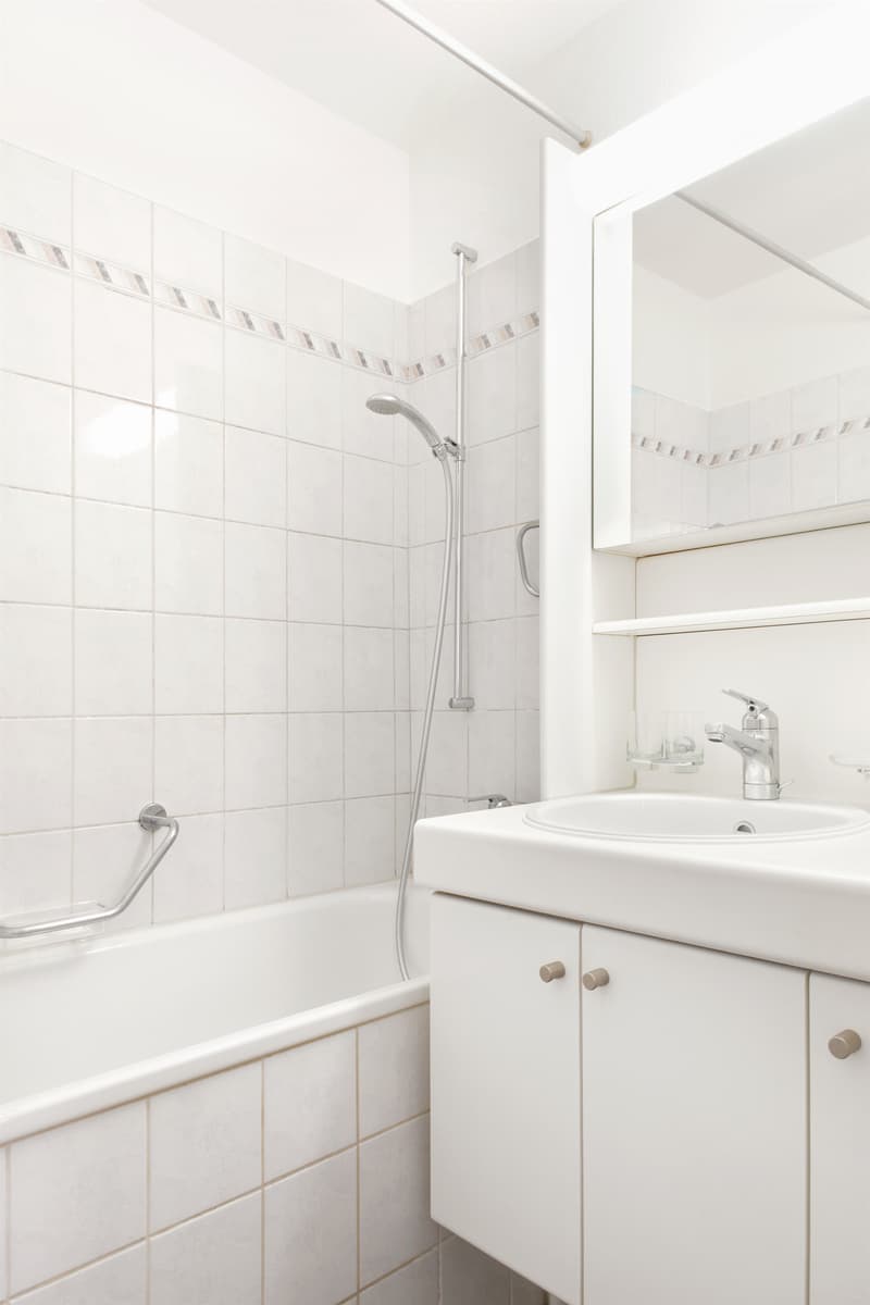 Attractive apartment, ideal for young and old! (4)