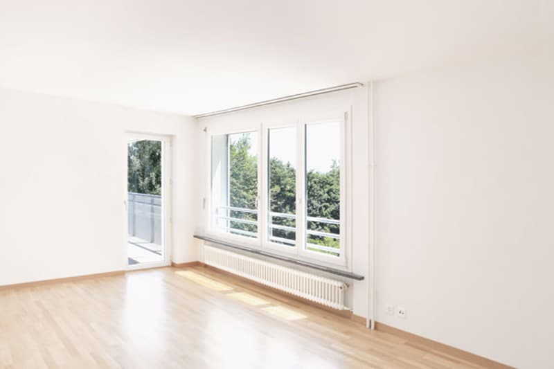 Attractive apartment, ideal for young and old! (2)