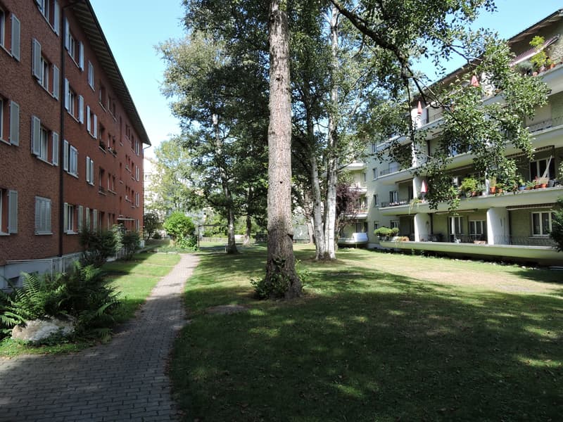Wohnen im begehrten Weissenbühl! (3)
