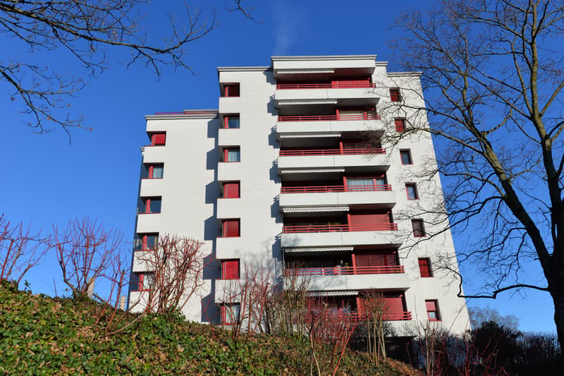 Suchen Sie einen Einstellhallenplatz für Ihr Auto? (1)