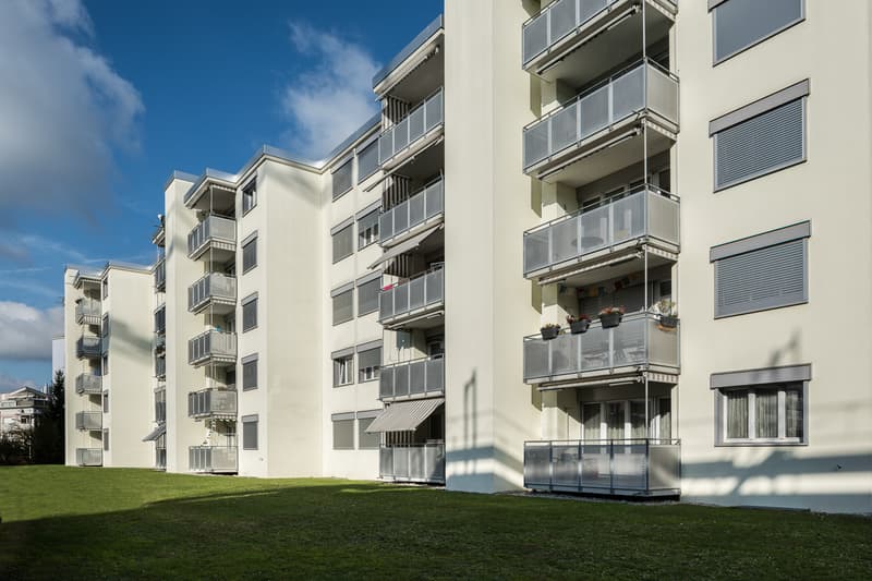 Sonnige Singlewohnung im Grünen (1)