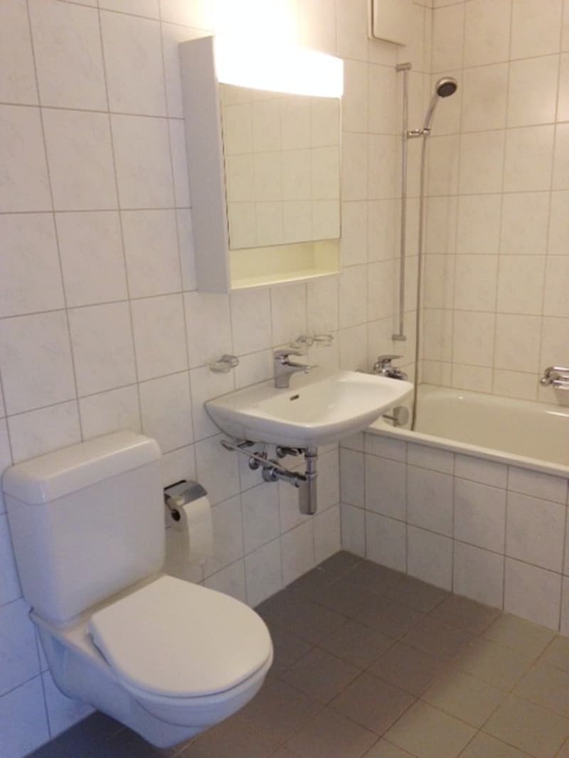 Sonnige Singlewohnung im Grünen (4)