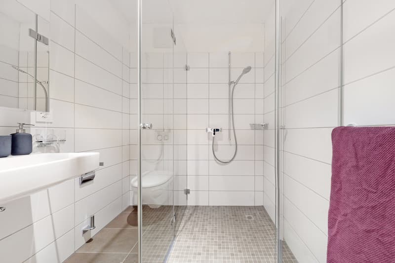 Beautiful apartment in modern neighborhood seeking subtenant as of 16.08.2026 (9)