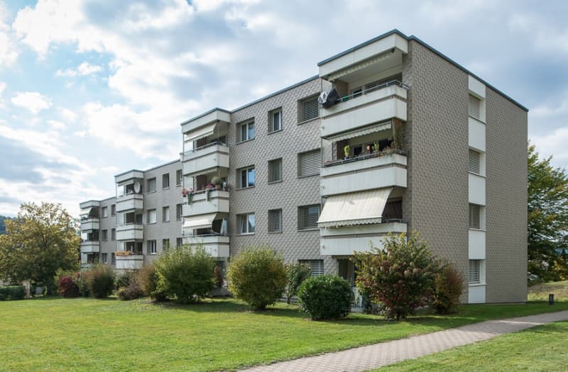 Spacious and in the middle of nature - Subtenant sought from 01.10.2026! (1)