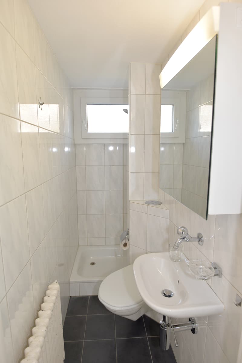 Lichtdurchflutete Dachwohnung im Herzen von Ebikon! (7)