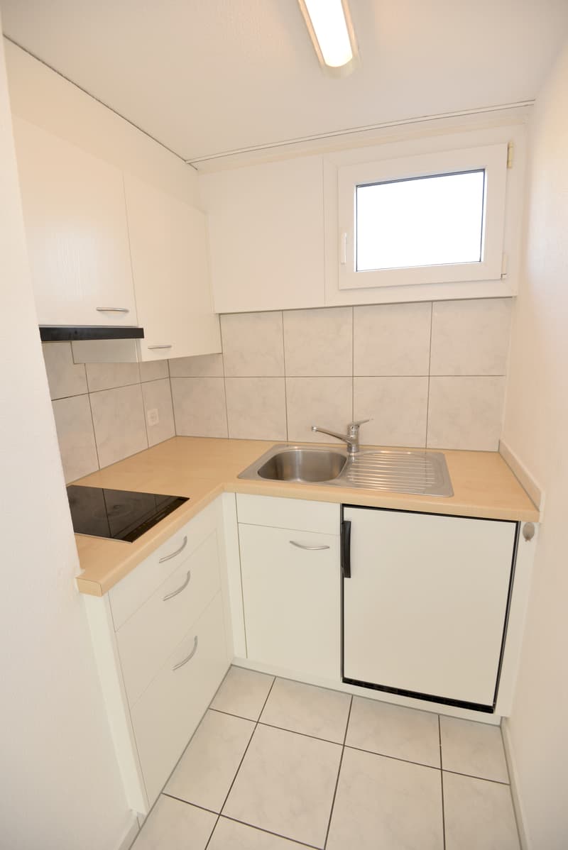 Lichtdurchflutete Dachwohnung im Herzen von Ebikon! (3)