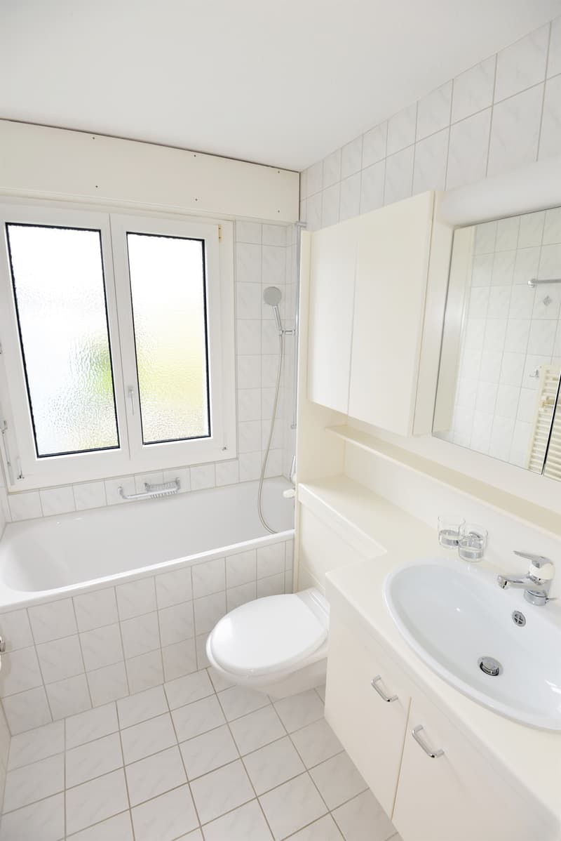 Gemütliche 1 Zimmer-Wohnung nahe dem Städtchen Sursee (7)