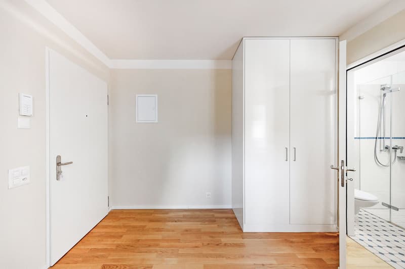 Moderne Singlewohnung im Kreis 4 - Mieten ohne Kaution! (2)