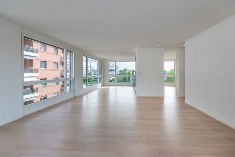 Residenza Laville: splendido attico in centro Locarno (3)