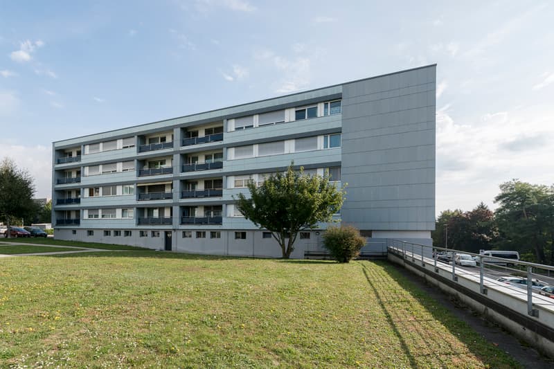 Wohnung in einer ruhigen Nachbarschaft (1)