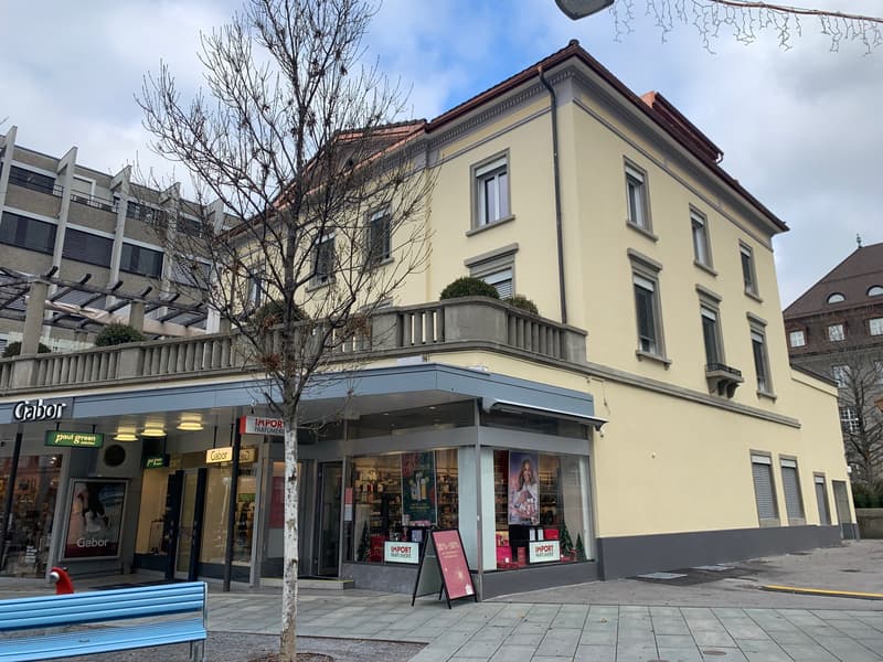 Exklusive Stadtwohnung mit grosszügiger Sonnenterrasse! (1)