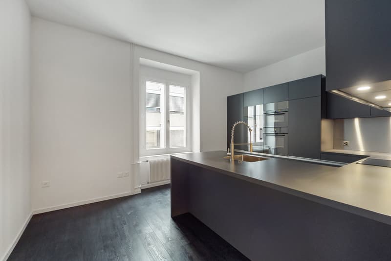 Exklusive Stadtwohnung mit grosszügiger Sonnenterrasse! (3)