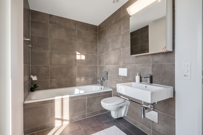 The perfect apartment in the Zwicky area (5)