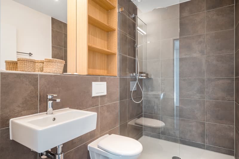 The perfect apartment in the Zwicky area (6)