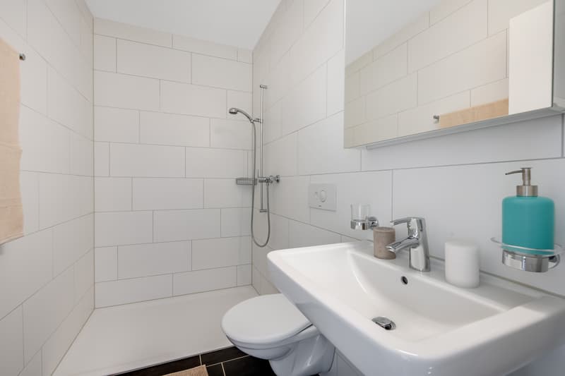 Modern apartment in Mellingen (temporary rental) (8)