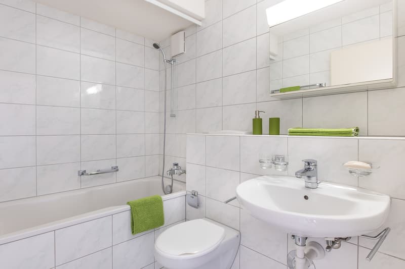 Charming Single Apartment (6)