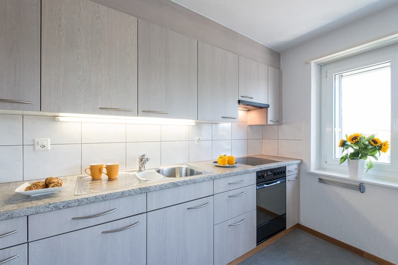 Charming Single Apartment (2)
