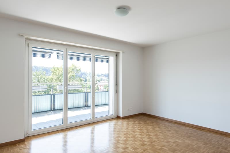 Charming Single Apartment (3)