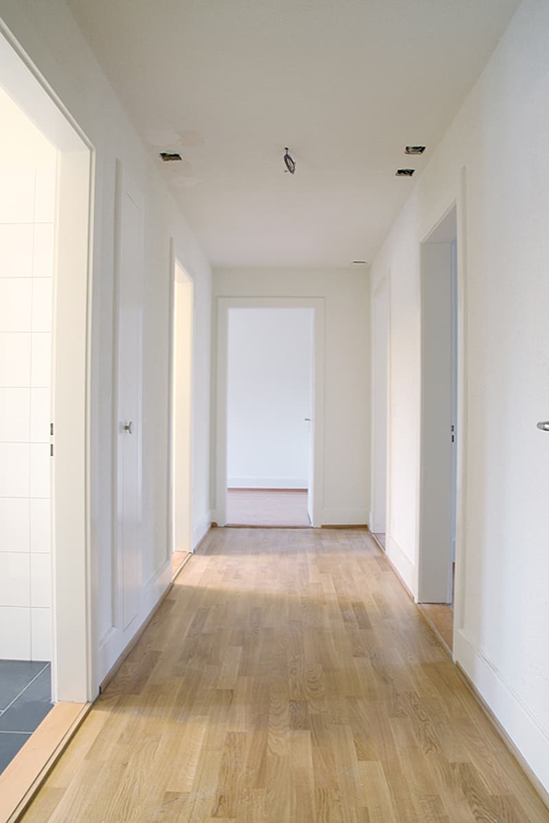 Bello appartamento nel centro di Wollishofen (6)