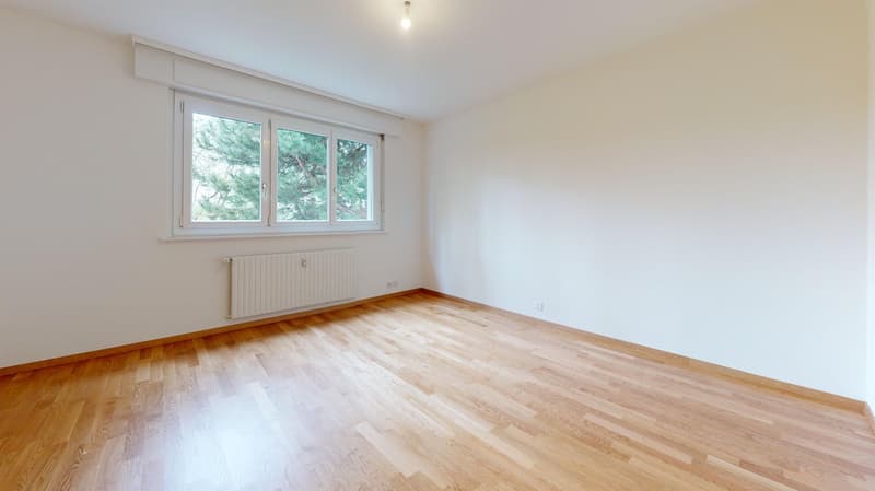 Appartement entièrement rénové - 1 mois de loyer offert (7)