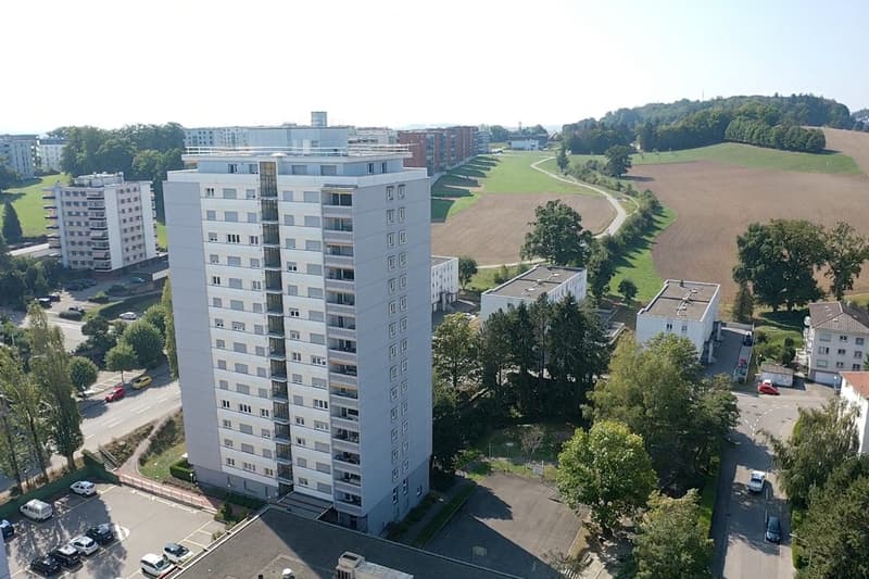 Appartement entièrement rénové - 1 mois de loyer offert (8)