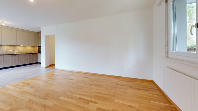 Apartment completely renovated - One month's rent offered (3)