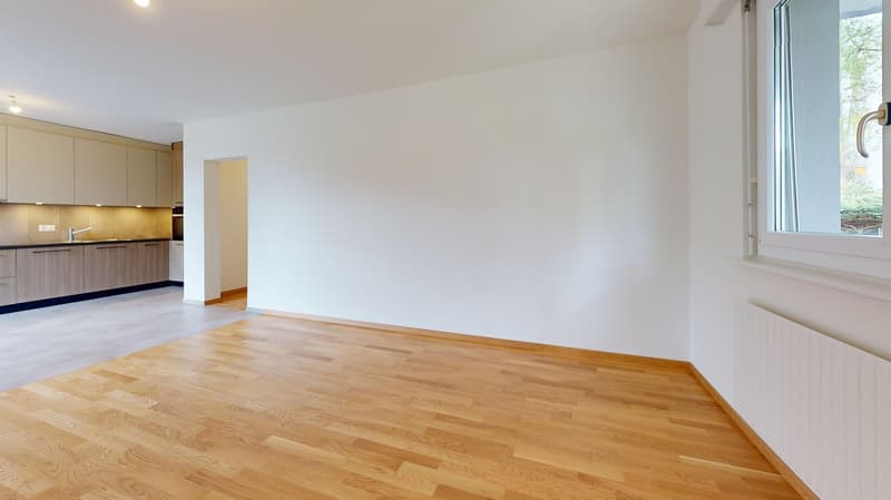 Appartement entièrement rénové - 1 mois de loyer offert (5)