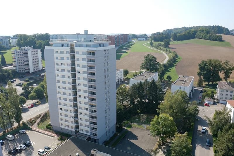 Apartment completely renovated - One month's rent offered (8)
