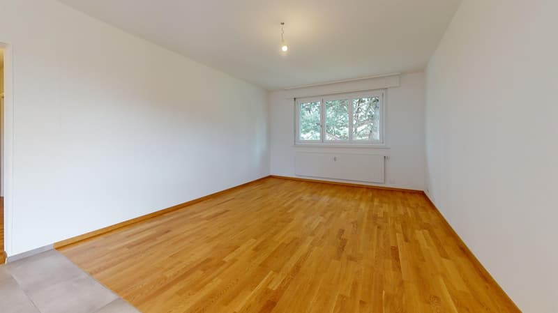 Appartement entièrement rénové - 1 mois de loyer offert (6)