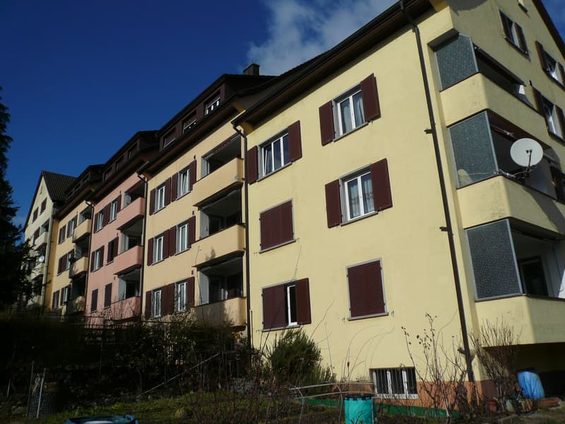 Your new home in beautiful Neuhausen am Rheinfall (2)