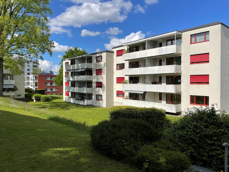 Gemütliches Wohnen im beliebten und steuergünstigen Kilchberg! (1)