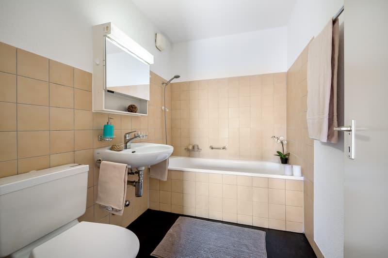 Only 5 minutes' walk to Wettingen train station (7)