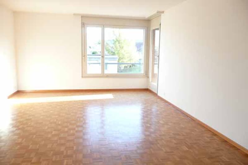 Only 5 minutes' walk to Wettingen train station (3)