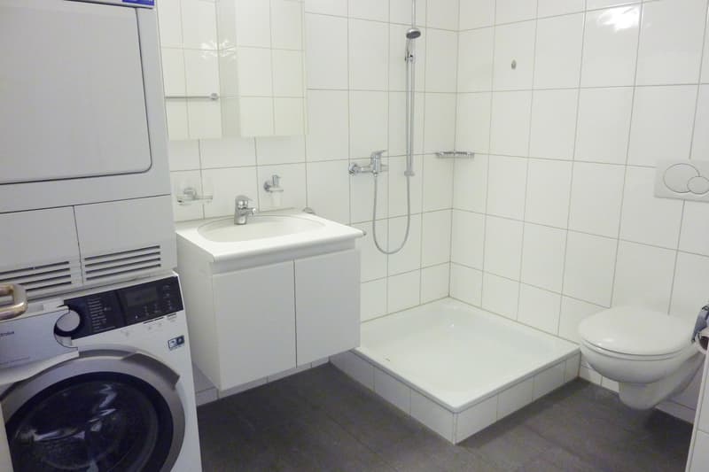 Familienfreundliche Wohnung sucht neue Mieter (8)