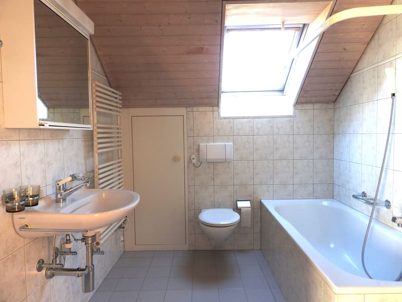 Attractive, bright attic apartment (3)